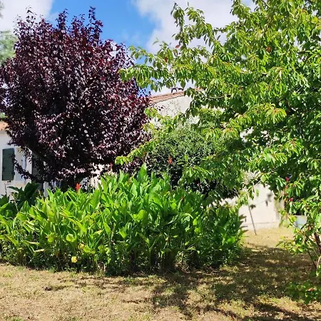 Maison De Famille A Oleron Casa de Férias